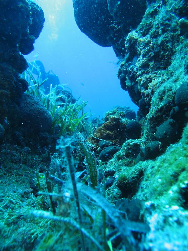 Coll TU 067.JPG